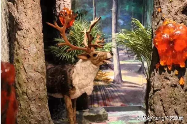 最新购物中心业态,购物中心与众不同