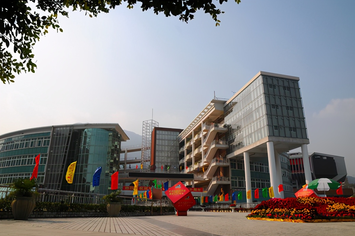 深圳最好的附中,深圳最好的中学