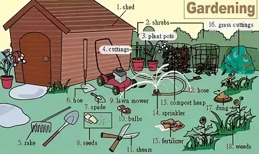 英语听力场景词汇大汇总，高一、高二、高三均适用