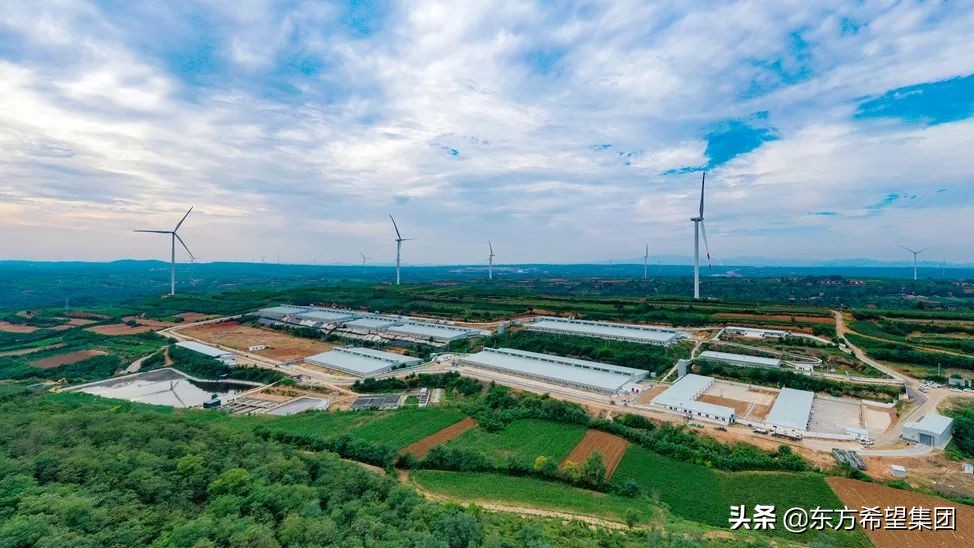 上海东方希望集团民营500强名单,东方希望集团在国家民营企业排名