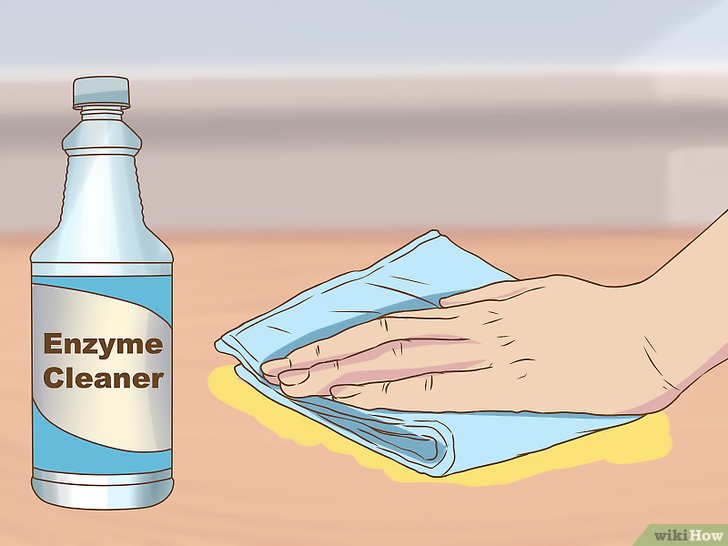 怎么消除宠物味道,如何清除室内宠物味道