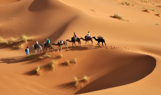 沙漠里的石头有哪些,沙漠能走的石头