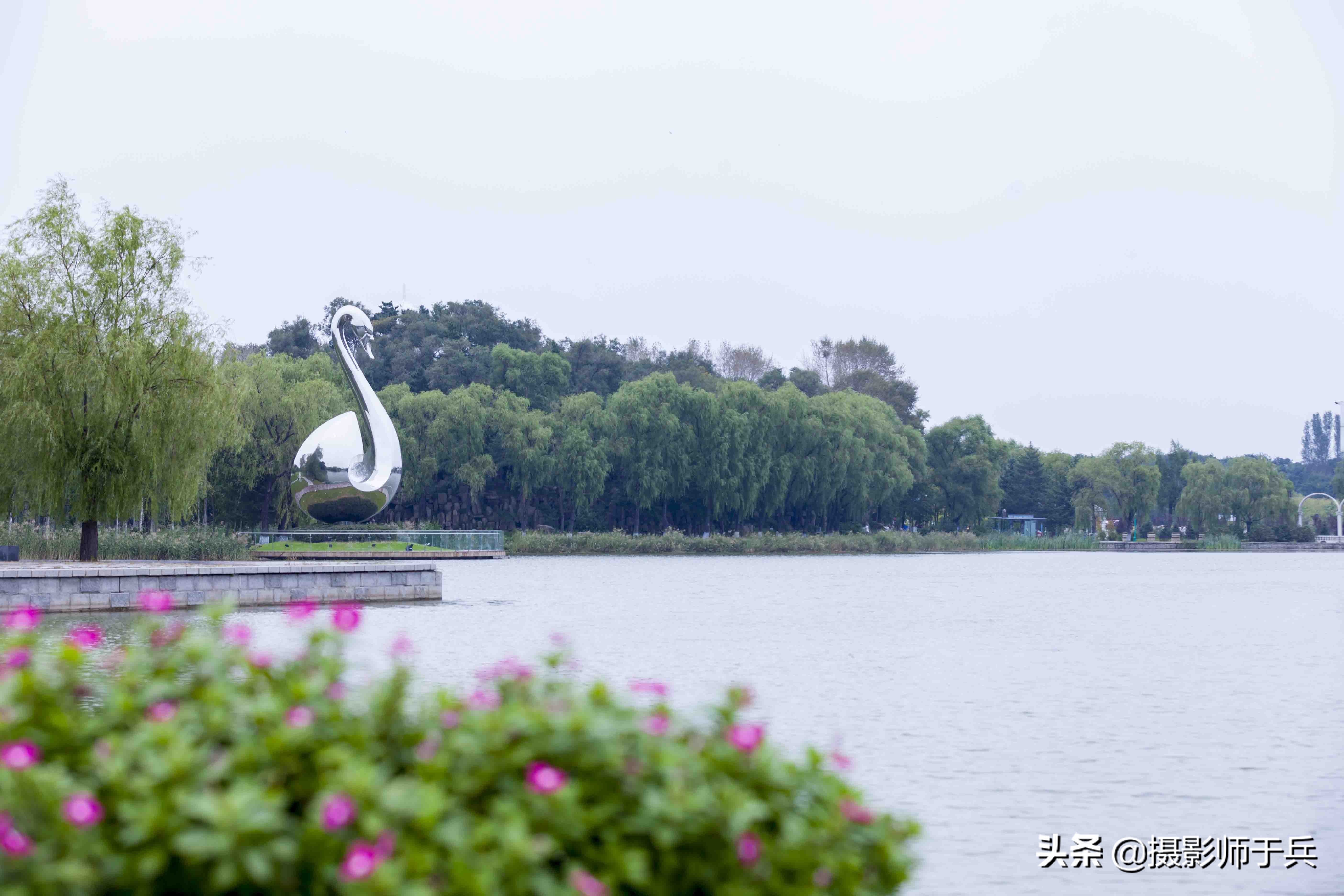 哈尔滨太阳岛美丽的秋色,哈尔滨美丽的太阳岛