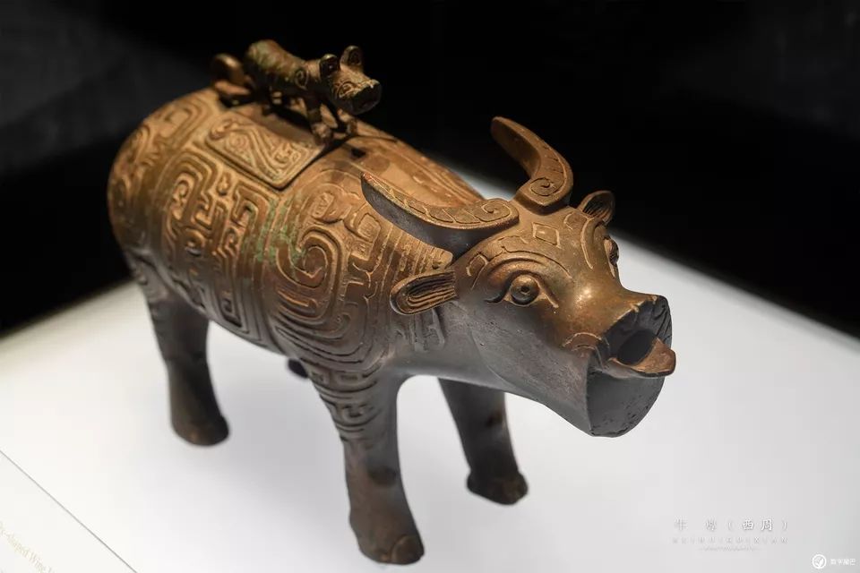 一起去博物馆发现古老的神器,陕西历史博物馆游览全攻略