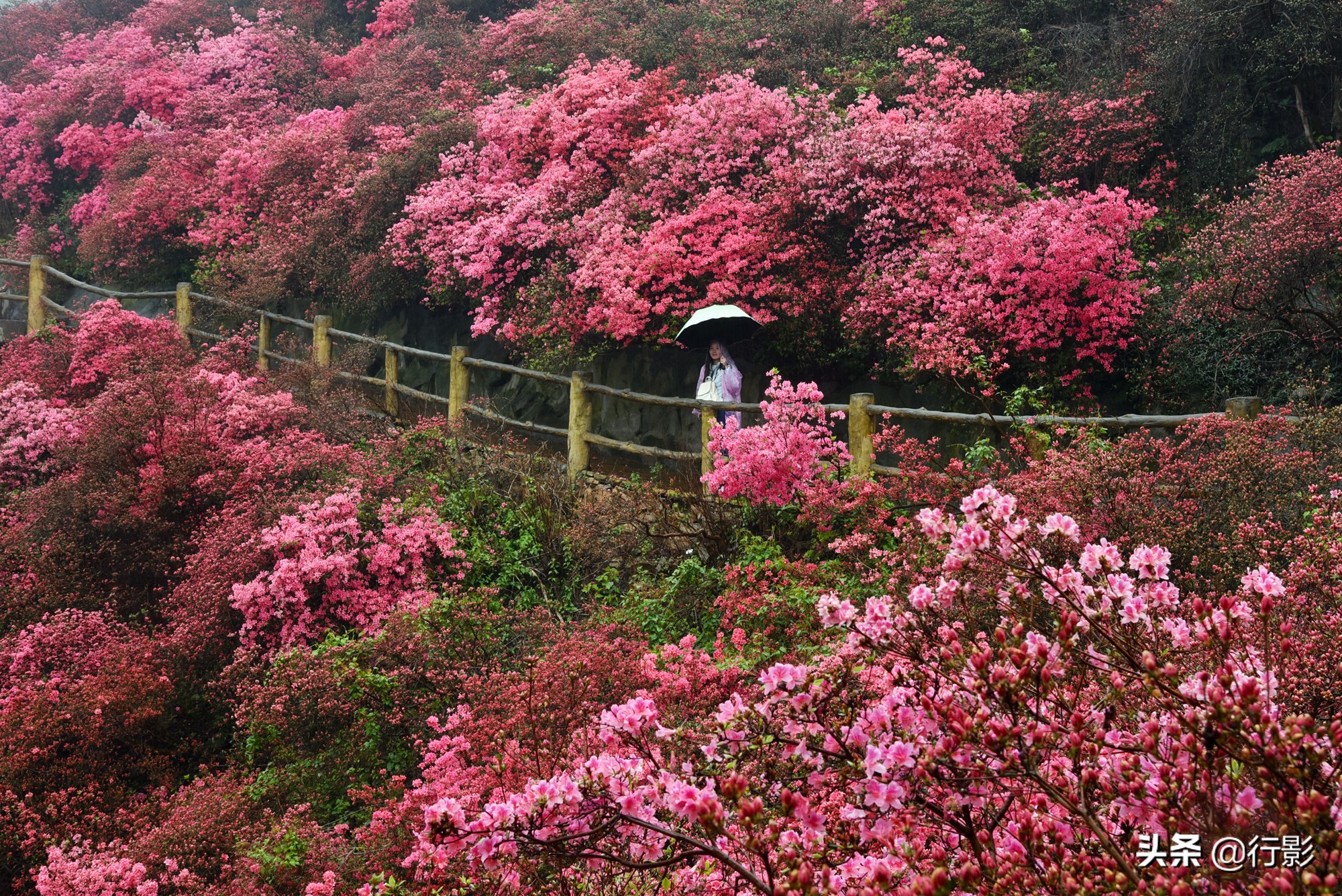 武汉云雾山风景区有什么好玩的,武汉云雾山游玩攻略