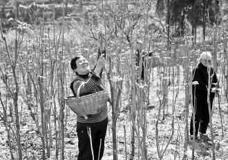 运城美丽乡村项目,运城市特色美丽乡村
