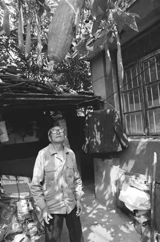 记忆中的大连老街,大连智仁街新隆嘉