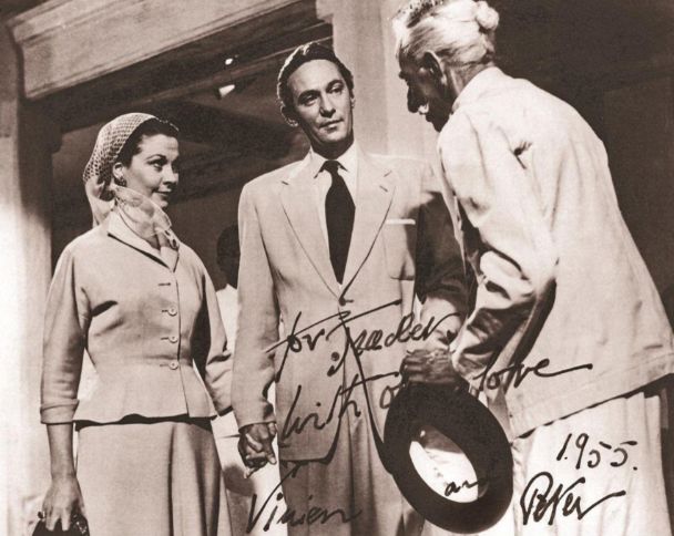 绝代佳人费雯丽故事梗概,费雯丽绝色佳人