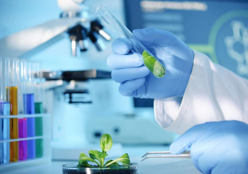 50种常用杀菌剂大全,五种杀菌剂使用注意事项有哪些