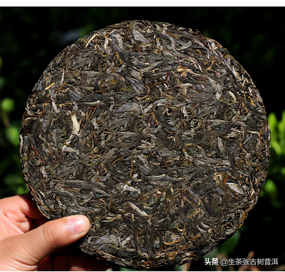 易武正山普洱茶生茶好吗,易武普洱茶生茶特点