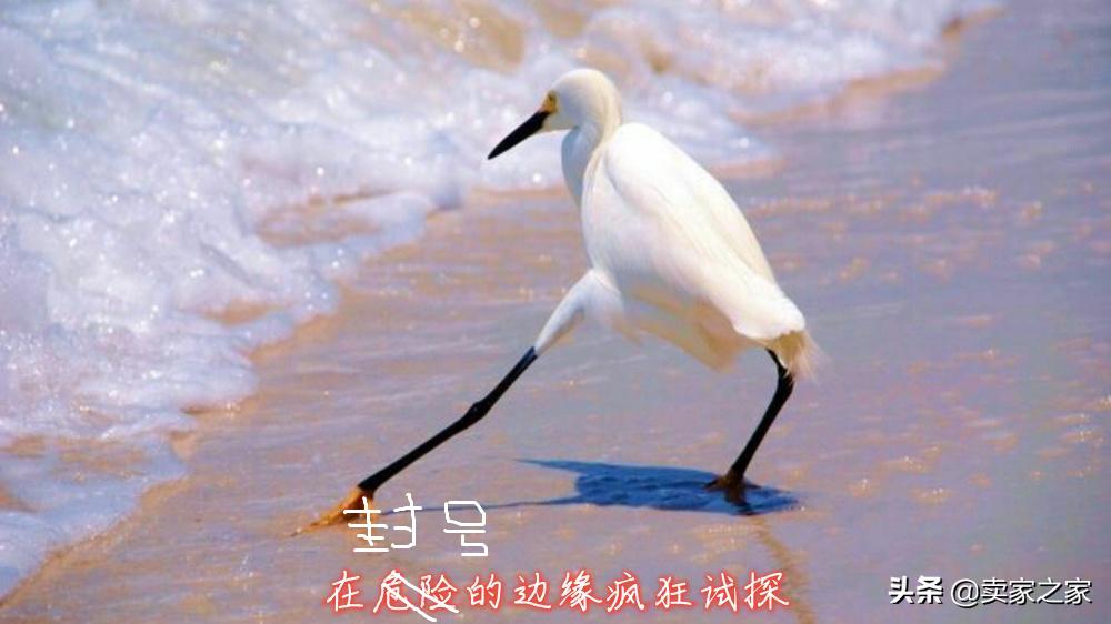 如何做亚马逊listing分析,亚马逊品牌分析关键词选品