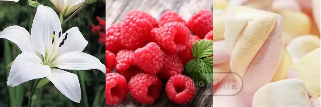 香水搭配的基本知识,香水潮流搭配