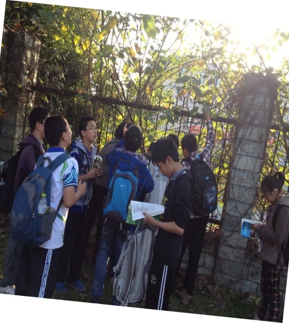 科学城一中长什么样,科学城一中怎样