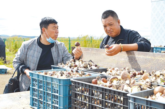 拔穷根龙象共舞同心共筑小康梦