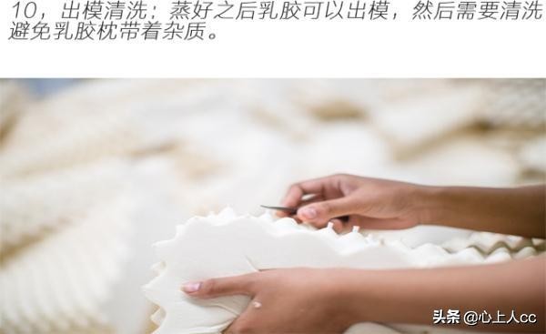真乳胶枕和假乳胶怎么辨别,怎么区分天然乳胶枕和海绵枕头