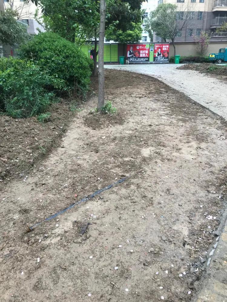 百强物业公司排名2021,2024年物业百强榜