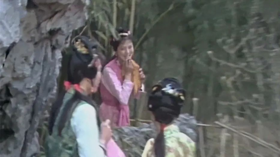 蒋勋红楼梦青年版,蒋勋讲红楼梦中的人物