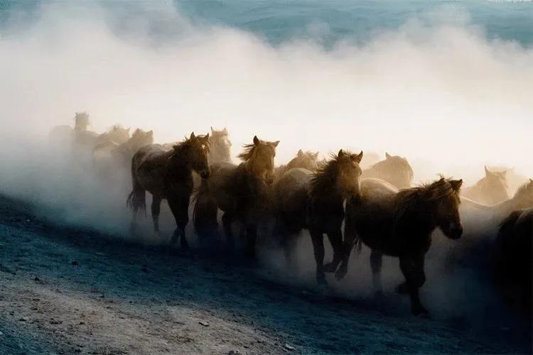 甘肃，一个被面条拉长的的省份！