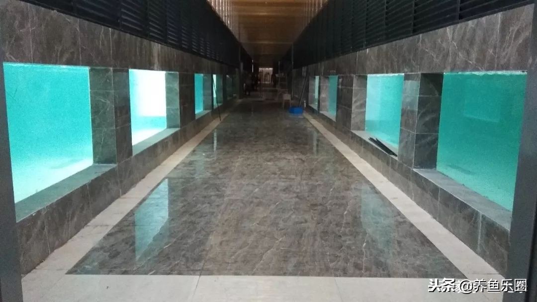 这位土豪家的渔场，光滤材就花了500多万，你确定不要见识一下？