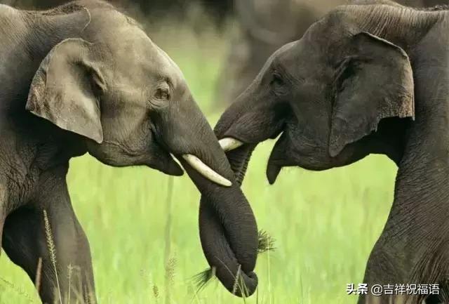 今天是6.4，夫妻日，百年一遇的吉祥日子，送给天下所有的夫妻