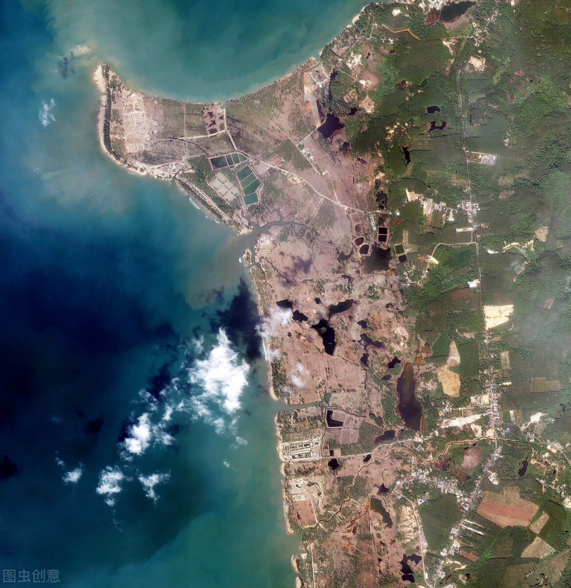 澳大利亚冷知识大全 (三分钟了解澳大利亚)