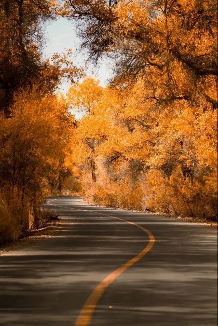 终于攒够了年假,年假怎么攒