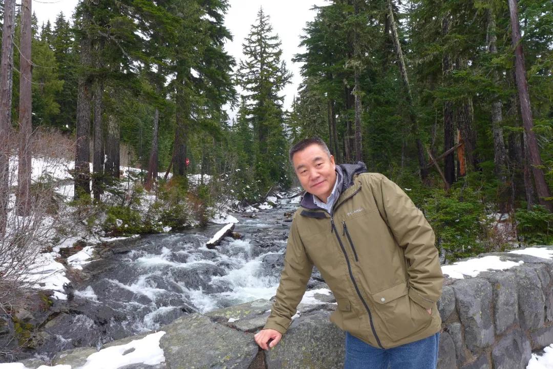 牦牛起源的演化过程,牦牛历史介绍