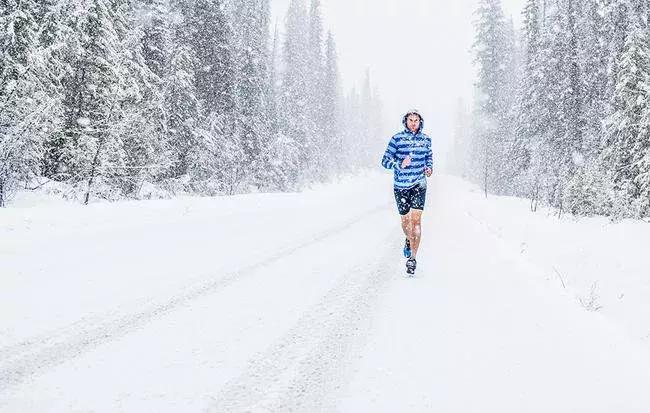 纵有疾风起人生不言弃原文,纵有疾风起人生不言弃莫忘来时路