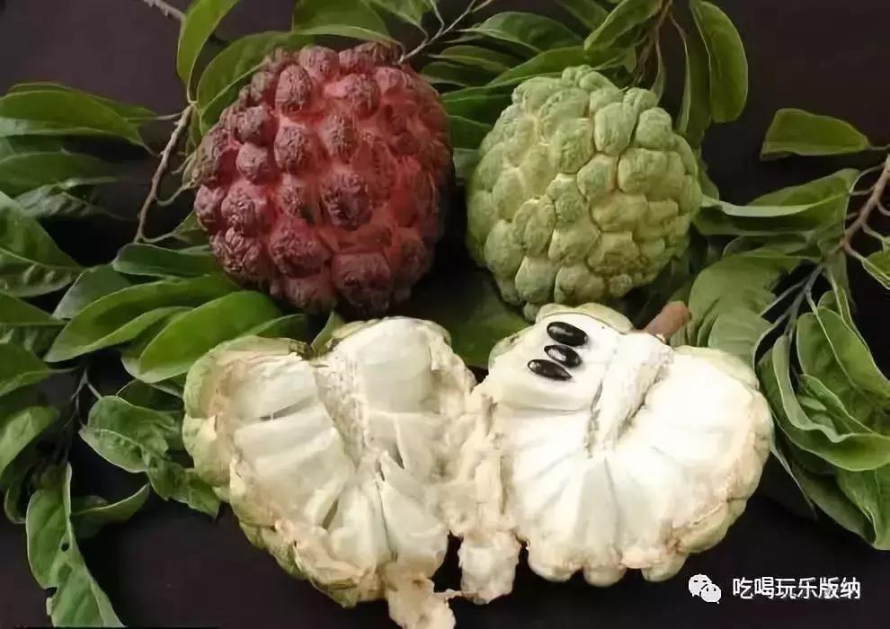 西双版纳这些奇特的水果,作为吃货的你都吃过哪些