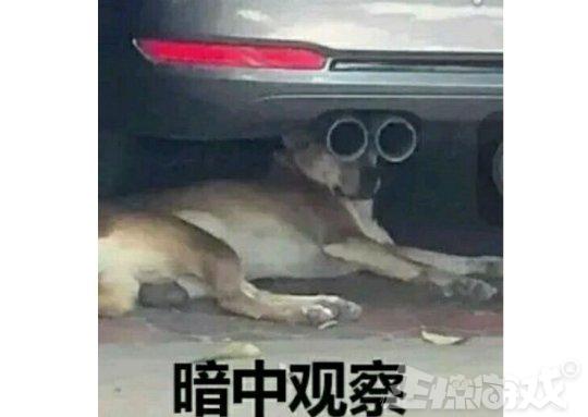 娓告垙閲屼负浜嗚浜哄厖閽辩殑濂楄矾,涓浗娓告垙涓轰粈涔堜細鍑虹幇姘噾濂楄矾