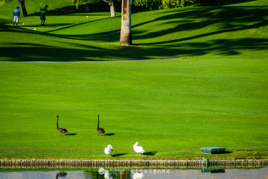 奥巴马卸任以后做什么工作,奥巴马卸任后做什么