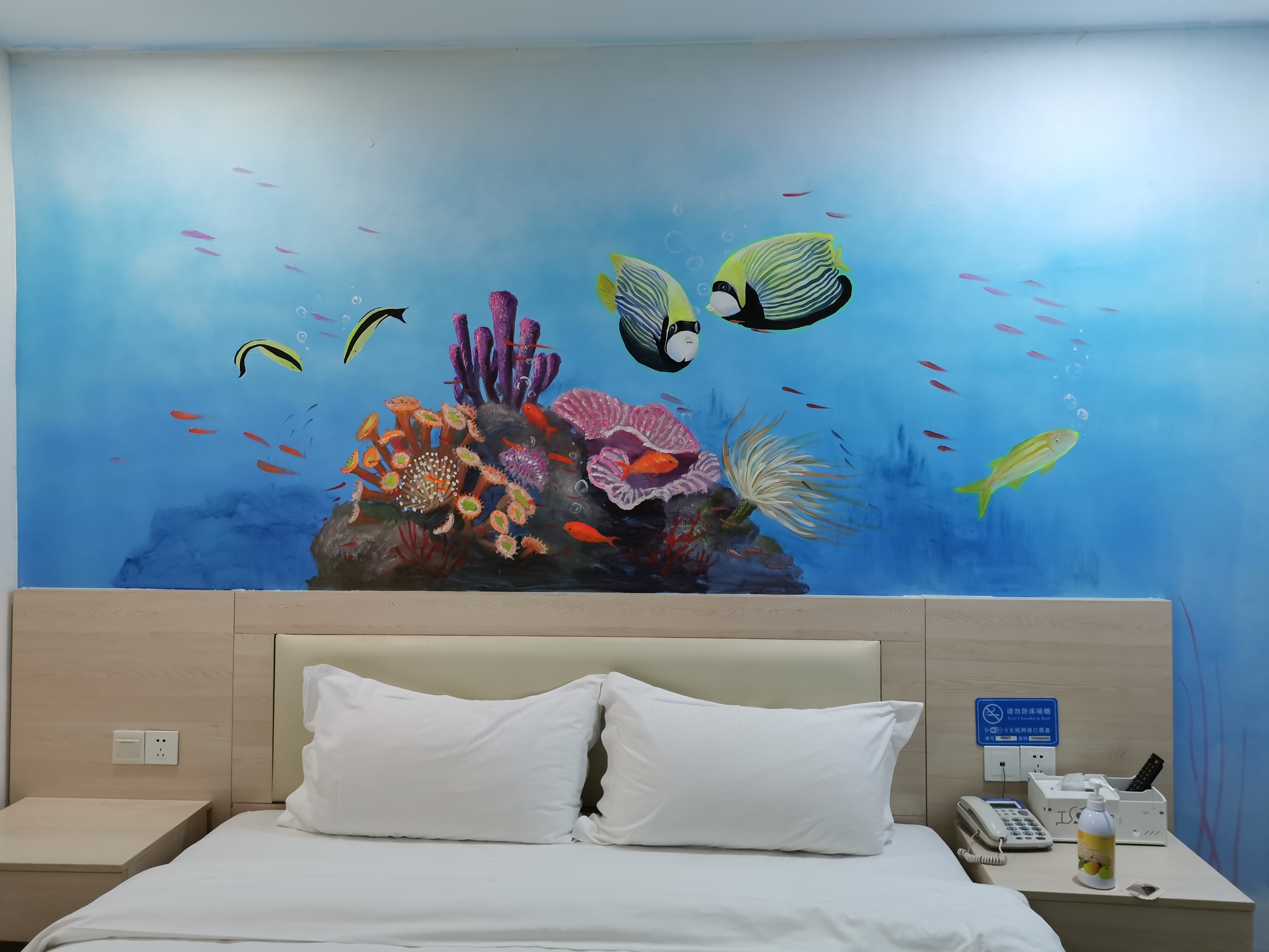 第一次去珠海长隆视频,第一次去珠海长隆怎么玩