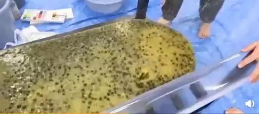 日本人的骚操作，每个我都想截图转发