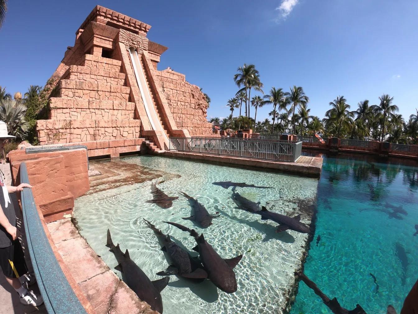 巴哈马粉色沙滩攻略,巴哈马粉沙滩