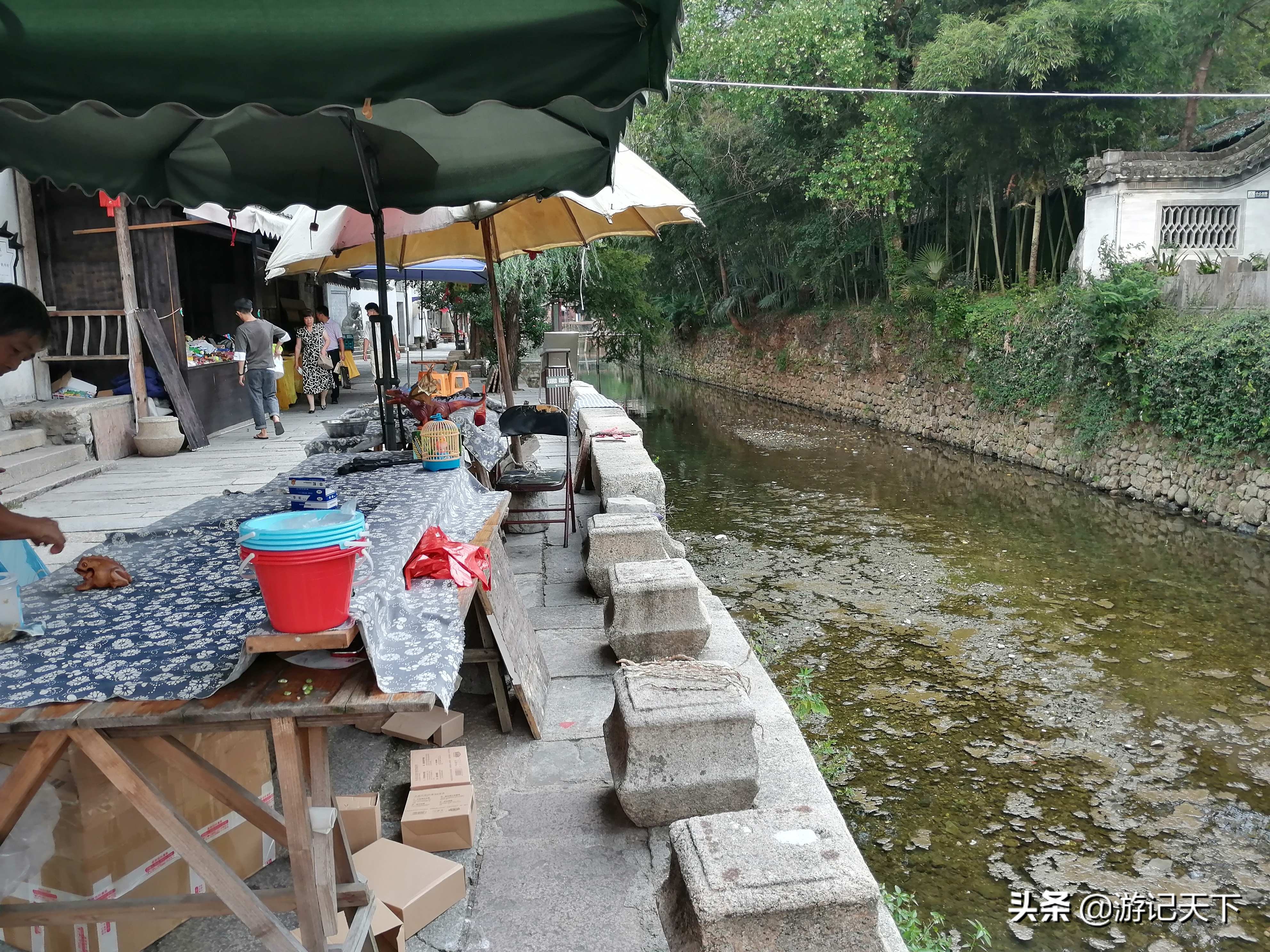 博导带我游龙川——阿尼亚房车伴我走天涯