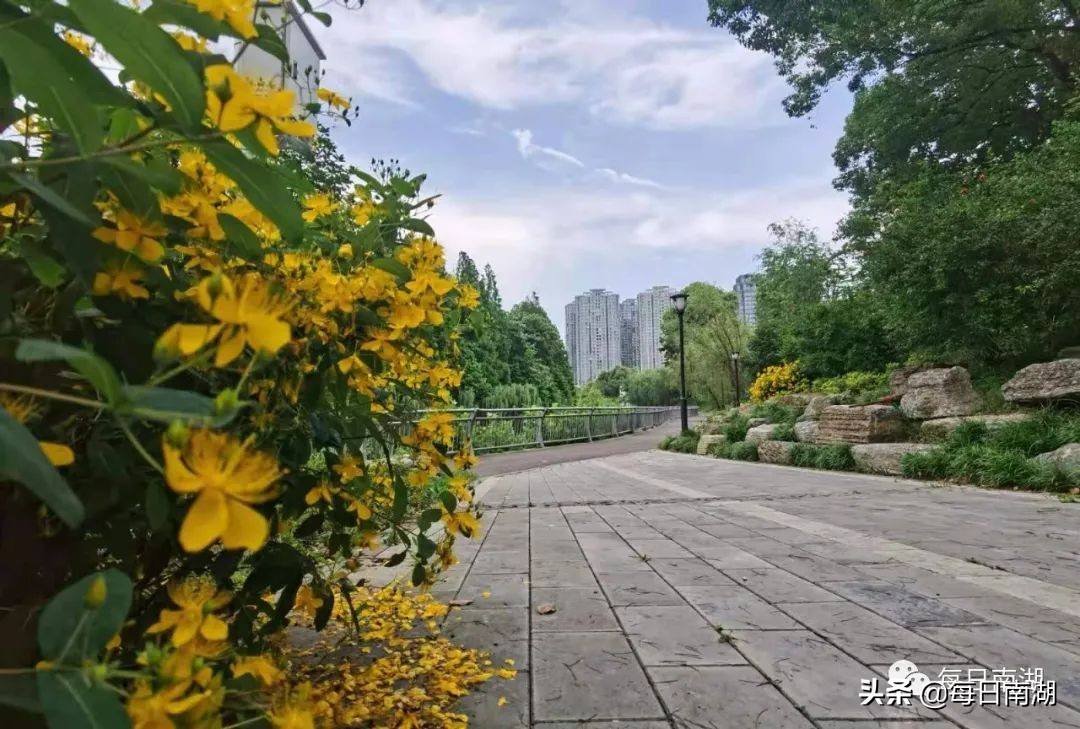 南湖的生态公园,南湖公园在未来哪里