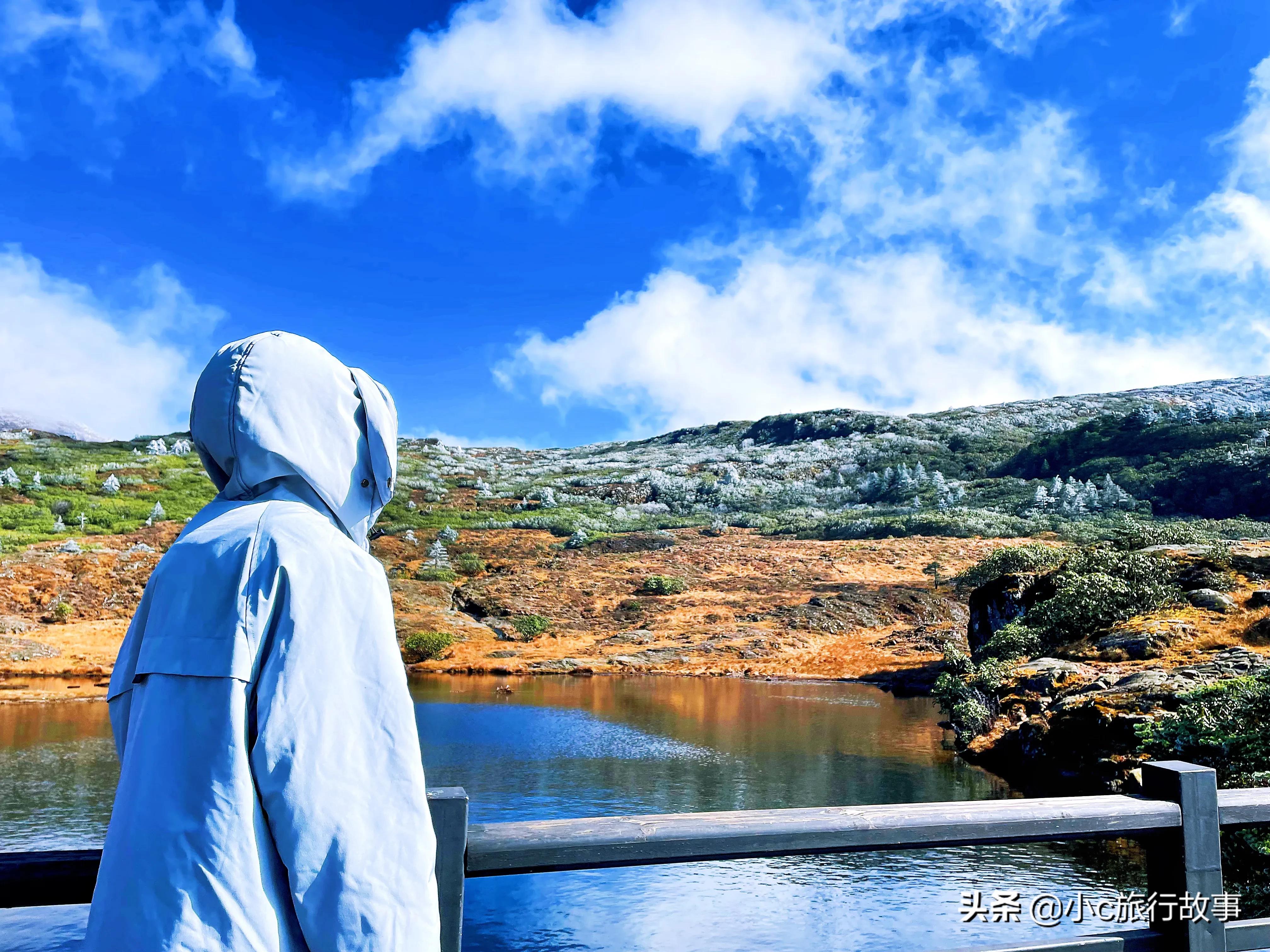 昆明轿子雪山景点春节开放吗,昆明附近旅游景点推荐轿子雪山