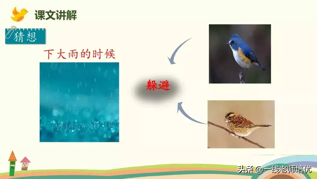 部编版蝴蝶的家课后练习及答案,四年级上册第8课蝴蝶的家全文