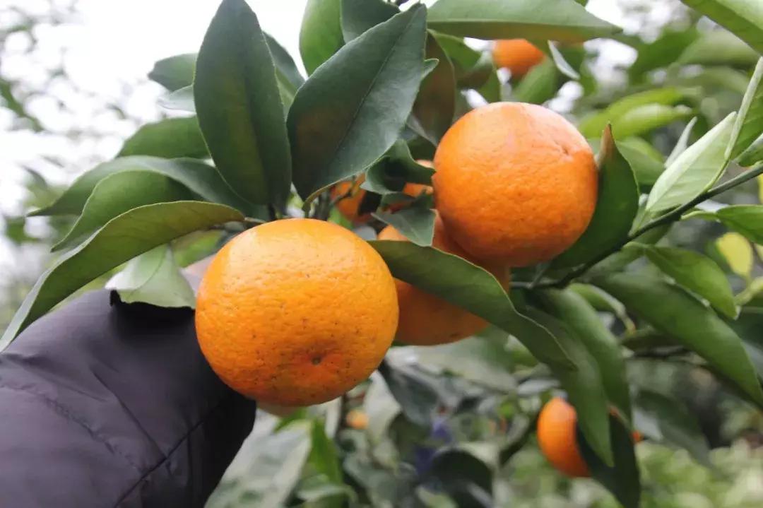 这一生必须去一次的地方,这一生要去一次丽江