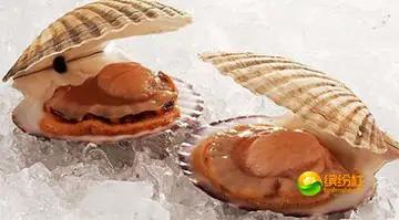 舟山4月份海鲜攻略,舟山海鲜代加工攻略