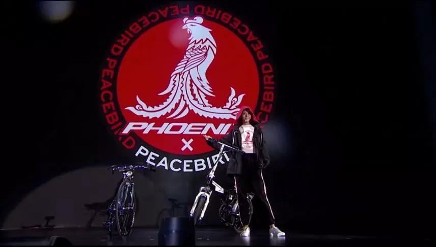 太平鸟业绩承压出海淘金,太平鸟业绩为什么下跌