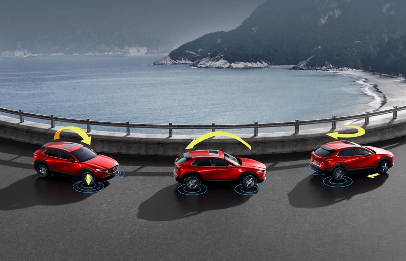 出走半生归来仍是少年出自哪本书,cx-30综合评价