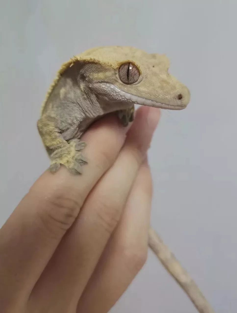 一群博士硕士,动不动“鬼混”到半夜,却干成了件人人称赞的事