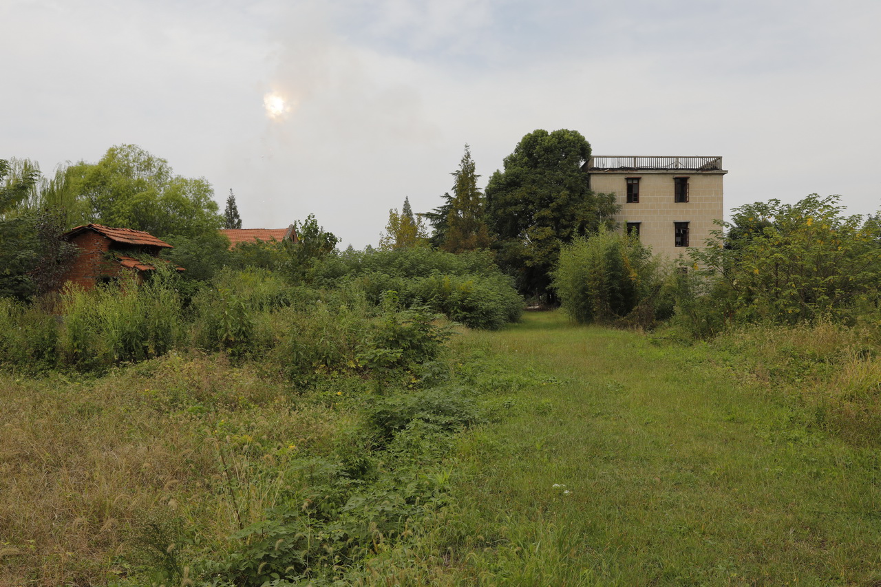 武汉市第七砖瓦厂陈建华,武汉砖瓦厂的发展现状