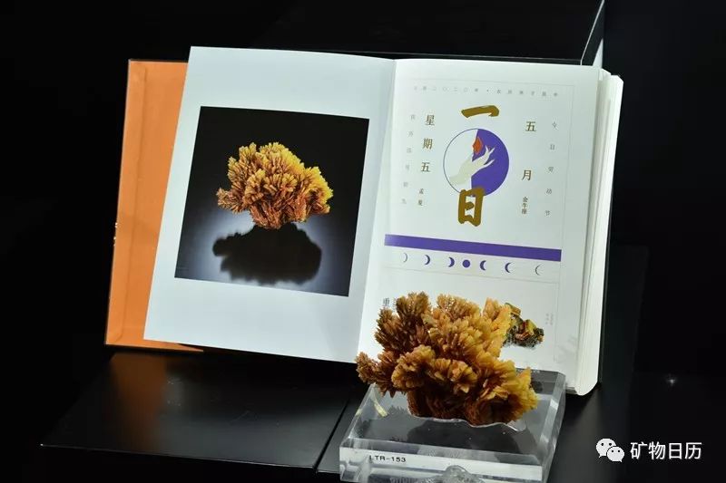 地球之美摄影,地球之美美育视频