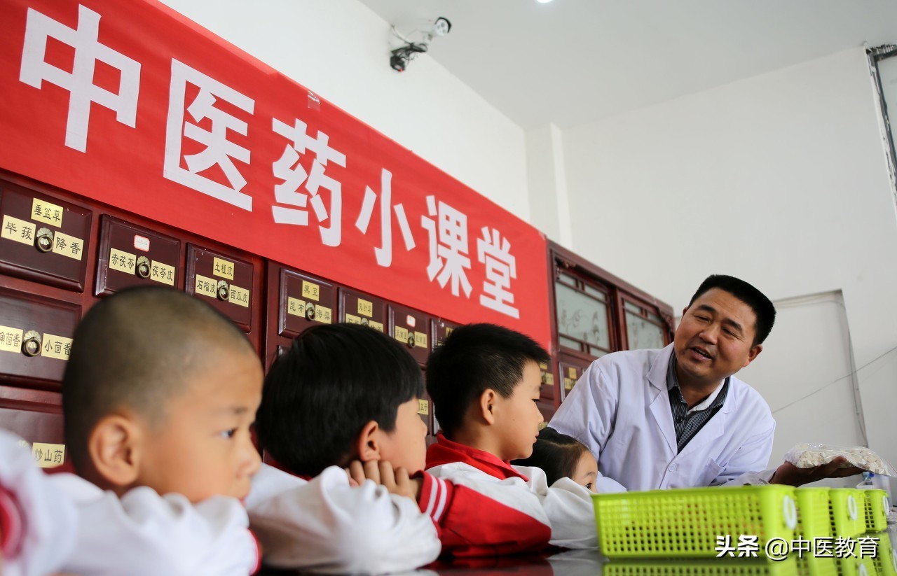 对中医界做过重大贡献的中医大师,中医文化十位中医大家