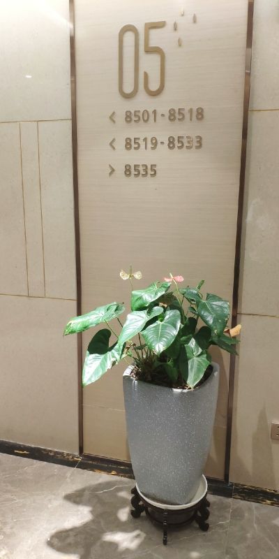 丽枫酒店商务和豪华怎么选,中端连锁酒店丽枫全季