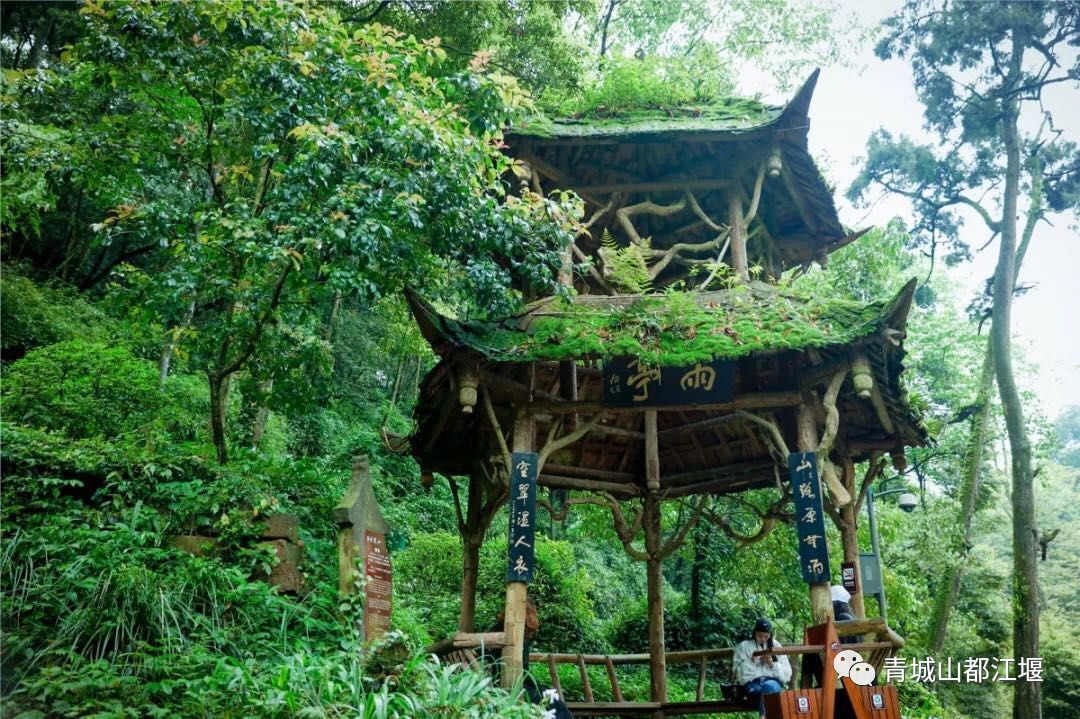 坐上公交去旅行!跟着这条101路线,带你玩遍大半个都江堰~一站一景,吃喝玩乐一网打尽!