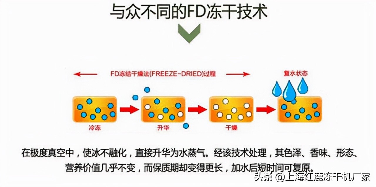 自制宠物冻干鸡肉怎么做的,鸡肉冻干的制作方法狗狗