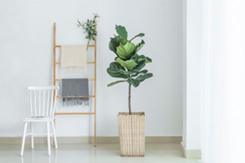 那个100000+的梦想如今怎么样了